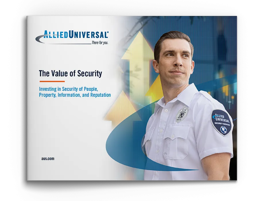 values_of_security_ebook_cover